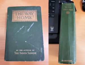 Book cover from 1919 with unnamed author