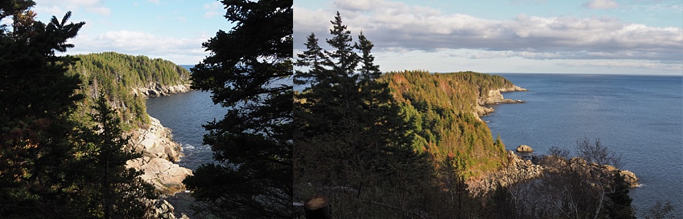 View from Middle HeadTrail