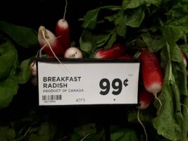 Sign in produce department for breakfast radishes
