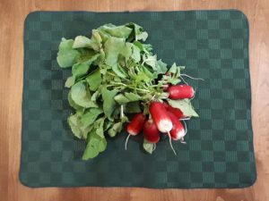 Breakfast radishes