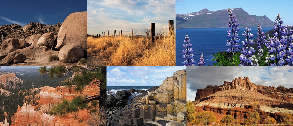 6-photo collage of terra firma