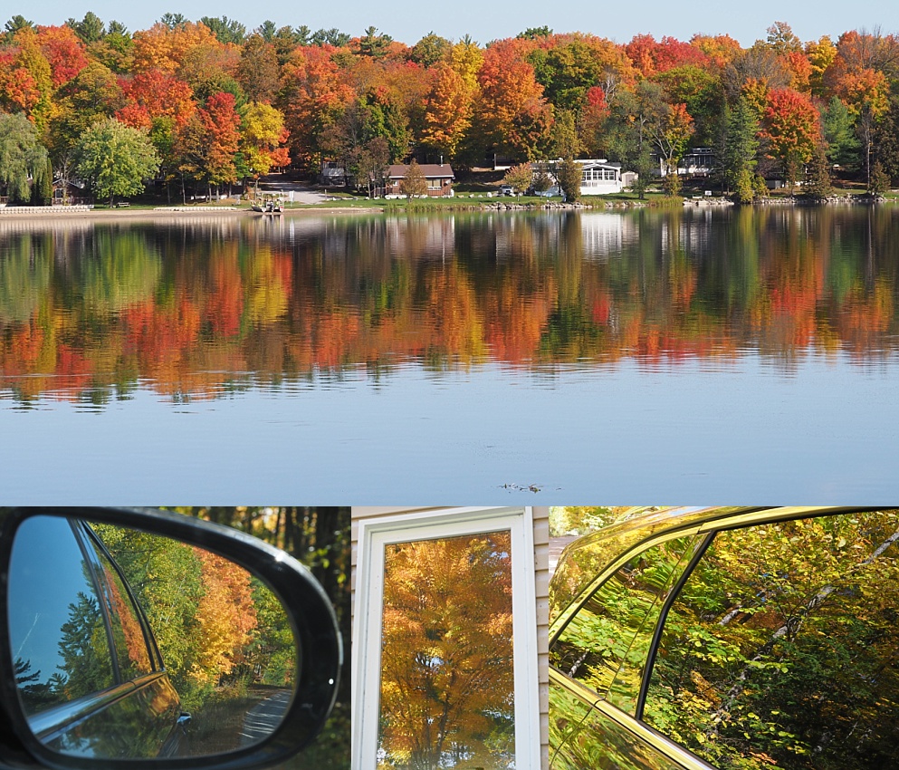 4-photo collage showing 2019 fall colours at White Lake ON