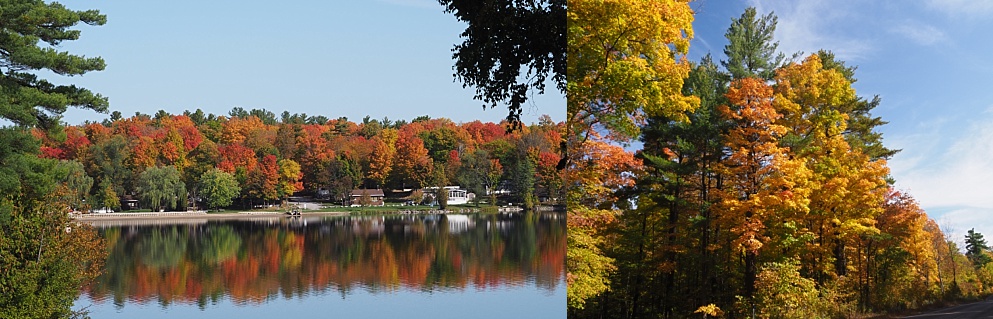 2-photo collage of fall leaves along lakeshore and country road