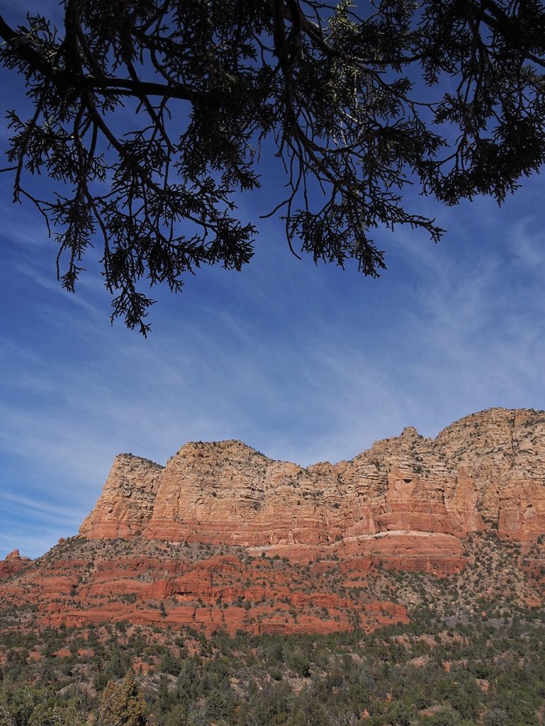 Sedoan rock framed by cedar branches