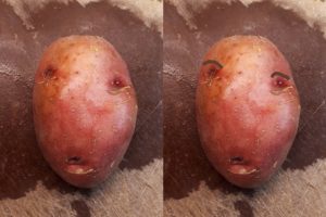 2-photo collage of potato face