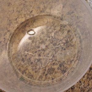 Face in puddle at bottomof salad spinner