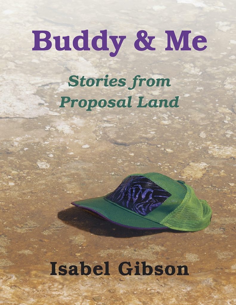 Cover from Isabel Gibson's memoirs