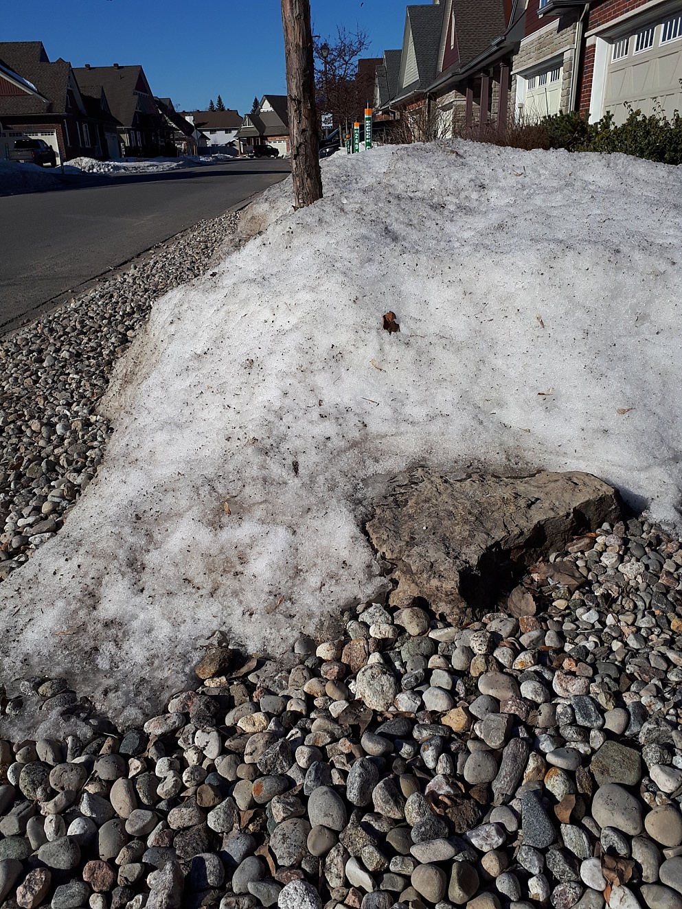 Dirty snow still in yard on first day of spring